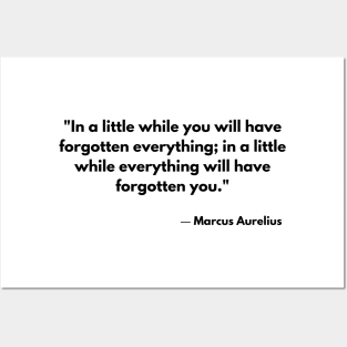 “In a little while you will have forgotten everything; in a little while everything will have forgotten you.” Marcus Aurelius, Meditations Posters and Art